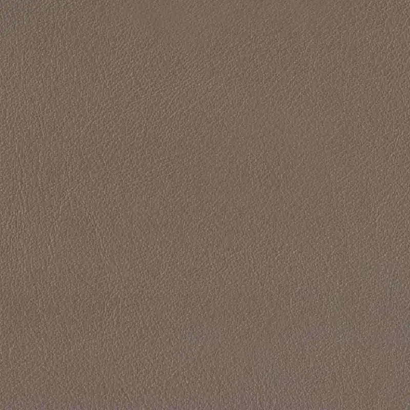Top Grain Leather Sofa