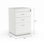 Locking File Cabinet